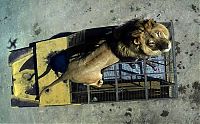 TopRq.com search results: Lion Safari Zoo park, Rancagua, Maipú, Santiago Province, Chile