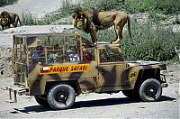 Fauna & Flora: Lion Safari Zoo park, Rancagua, Maipú, Santiago Province, Chile