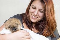 TopRq.com search results: otter learning to swim