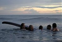 Fauna & Flora: Saving a whale, Cetacean stranding, Popoyo Beach, Tola municipality, Rivas Department, Nicaragua