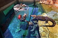 Fauna & Flora: Cage of Death, Crocosaurus Cove Park, Darwin City, Australia