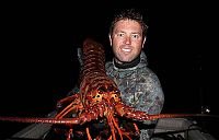 TopRq.com search results: Giant lobster crustacean by David Galante