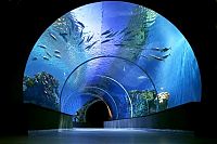 Fauna & Flora: The Blue Planet, National Aquarium Denmark, Kastrup, Denmark