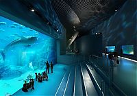 Fauna & Flora: The Blue Planet, National Aquarium Denmark, Kastrup, Denmark