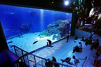 TopRq.com search results: The Blue Planet, National Aquarium Denmark, Kastrup, Denmark