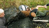 Fauna & Flora: Horse saved from a deadly muddy pond, Radcliffe, Greater Manchester, United Kingdom