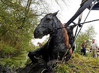 TopRq.com search results: Horse saved from a deadly muddy pond, Radcliffe, Greater Manchester, United Kingdom