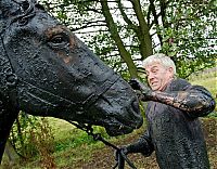 Fauna & Flora: Horse saved from a deadly muddy pond, Radcliffe, Greater Manchester, United Kingdom