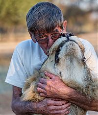 TopRq.com search results: Lion raised and friendship with Frikkie Von Solms