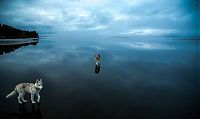 Fauna & Flora: Siberian Husky on a frozen lake