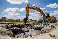 Fauna & Flora: rescue of an elephant stuck in mud