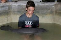 Fauna & Flora: manatee sea cow rescue