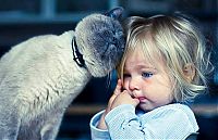 cat and the child