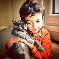 cat and the child