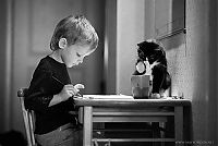 Fauna & Flora: cat and the child