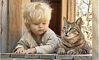 Fauna & Flora: cat and the child