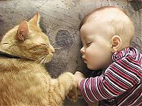 TopRq.com search results: cat and the child