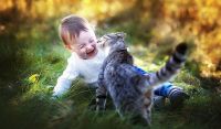 Fauna & Flora: cat and the child