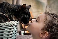 Fauna & Flora: cat and the child