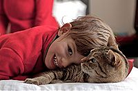 TopRq.com search results: cat and the child