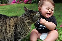 Fauna & Flora: cat and the child