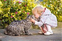 Fauna & Flora: cat and the child