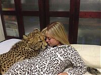 Fauna & Flora: girl with a cheetah