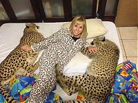 TopRq.com search results: girl with a cheetah