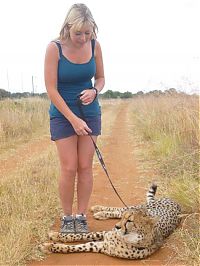 Fauna & Flora: girl with a cheetah