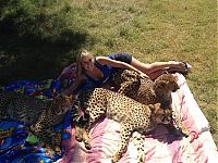 TopRq.com search results: girl with a cheetah