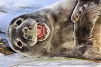wildlife photography