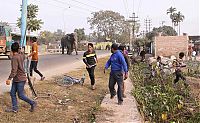 Fauna & Flora: Wild elephant, Siliguri, West Bengal, India