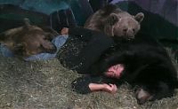 TopRq.com search results: man living with orphaned bears