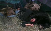 Fauna & Flora: man living with orphaned bears