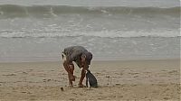 Fauna & Flora: Rescued penguin swims yearly thousands of miles to visit Joao Pereira de Souza