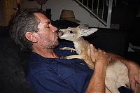 Rescuing kangaroos, Kangaroo Dundee, Chris Brolga Barns