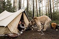 Fauna & Flora: pet bear with a family