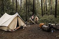 pet bear with a family