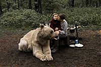 pet bear with a family