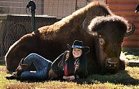 TopRq.com search results: bison pet