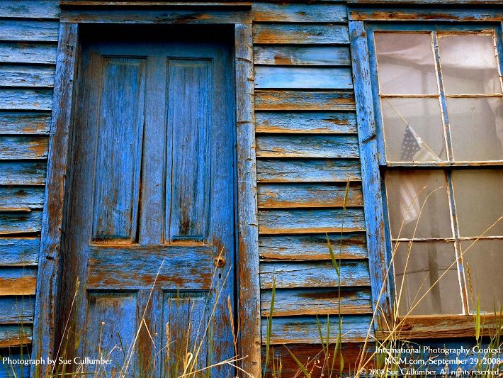 Photos from the International Photography Contest