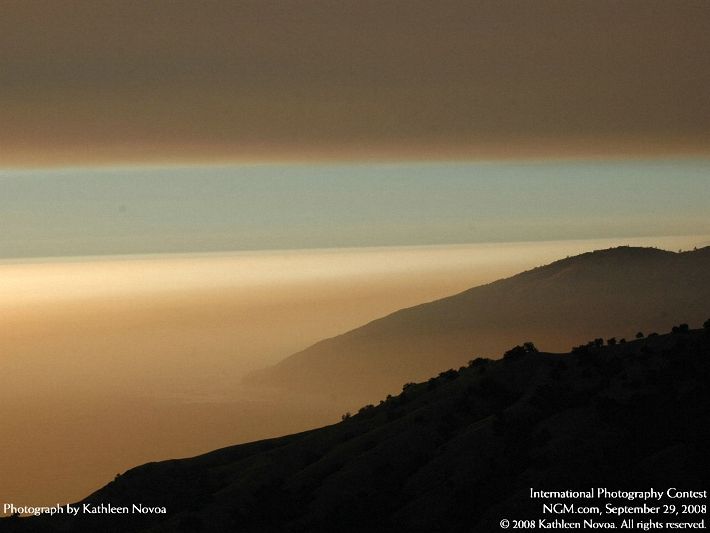 Photos from the International Photography Contest