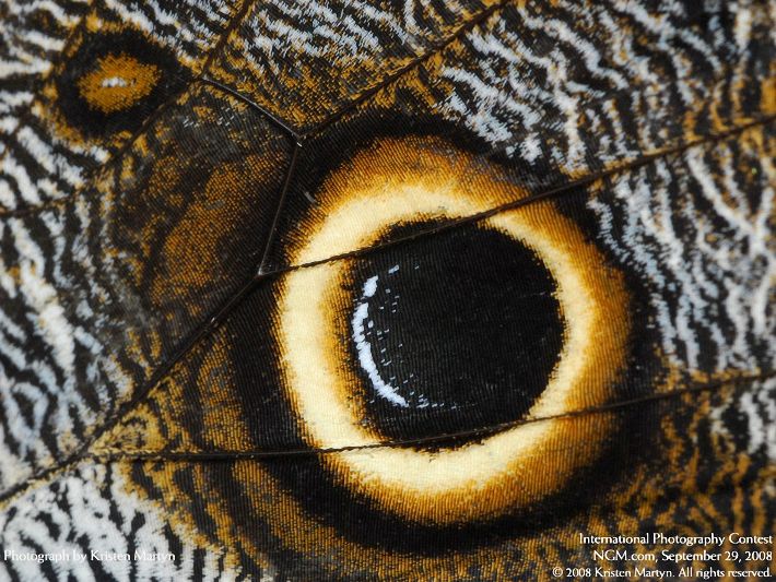 Photos from the International Photography Contest