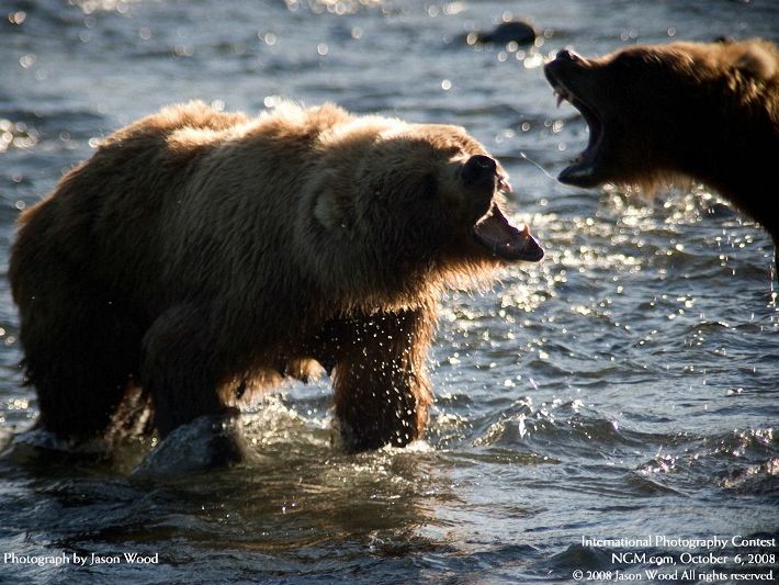 Photos from the International Photography Contest