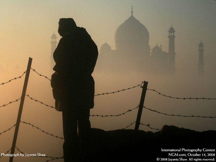 Photos from the International Photography Contest