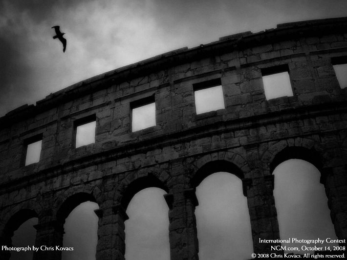 Photos from the International Photography Contest