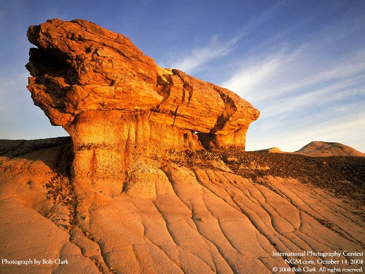 Photos from the International Photography Contest