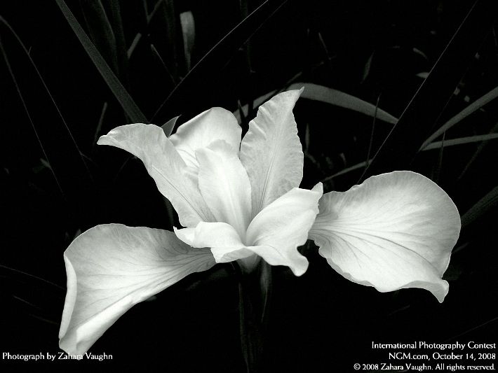Photos from the International Photography Contest