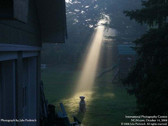 Photos from the International Photography Contest