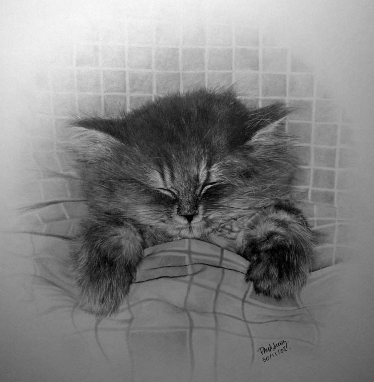 pencil drawing